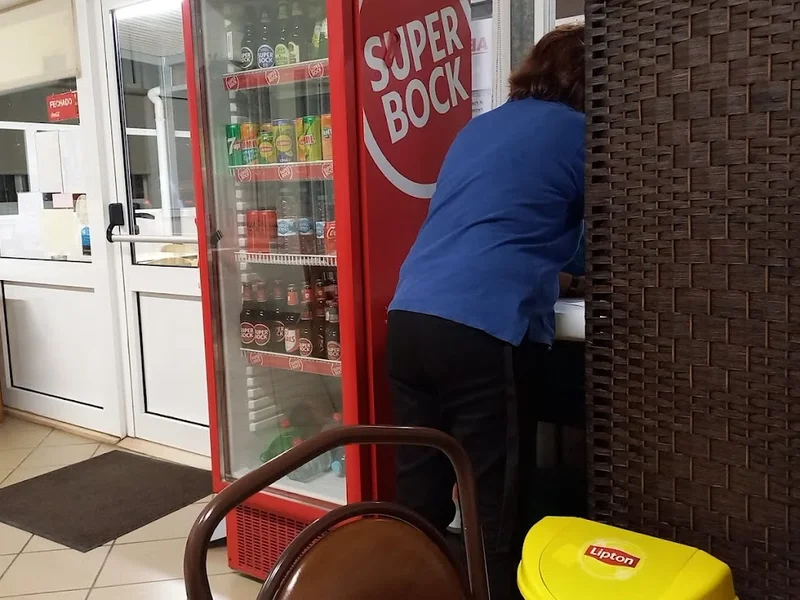 O Franguinho das Ferreiras