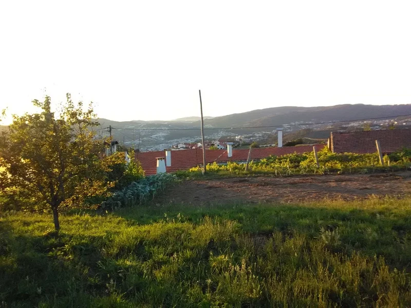 Café Central Cavião