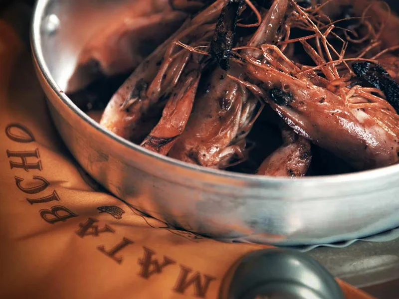 Mata Bicho Real Taverna