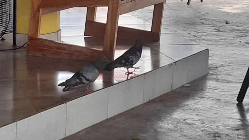 Restaurante Na Brasa e No Ponto