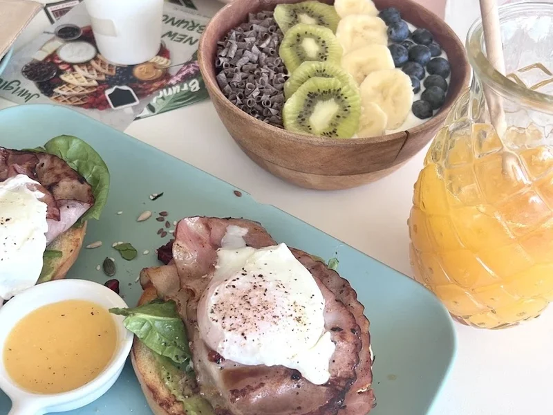 Jungle Brunch & Drinks