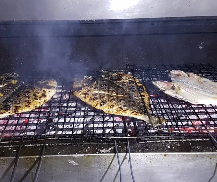 Casa Lagarto