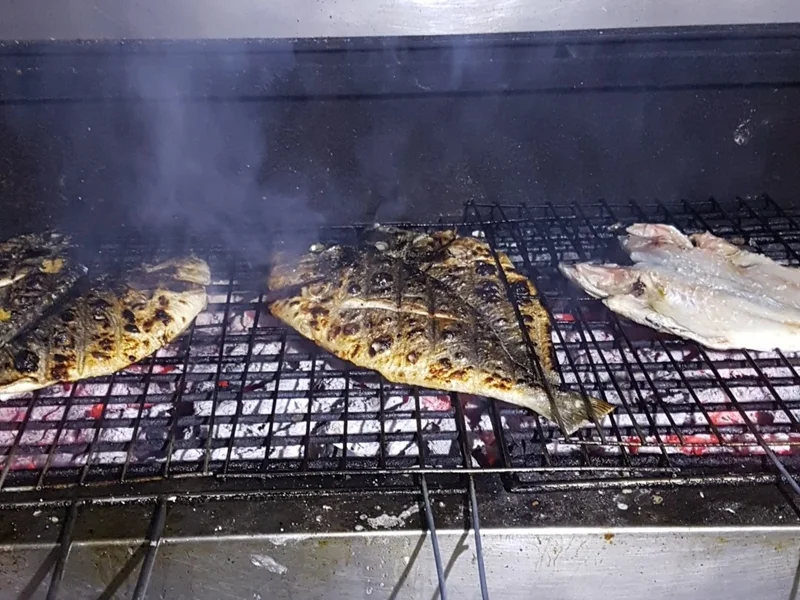 Casa Lagarto