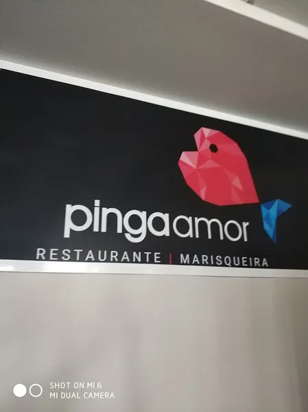 Pinga Amor