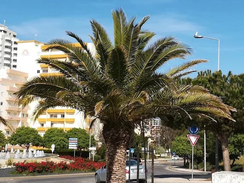 Toni's Bar Praia Da Rocha