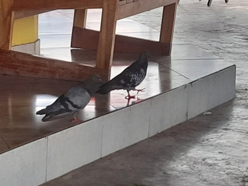 Restaurante Na Brasa e No Ponto