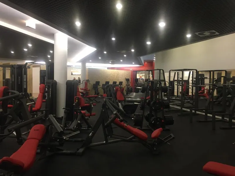 No Limit Gym