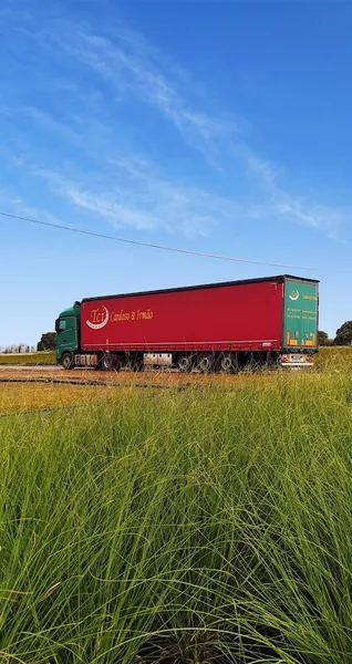 Transportes Cardoso & Irmão, SA