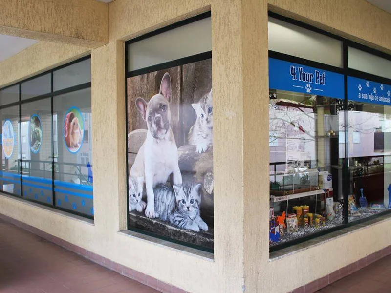 4 Your Pet
