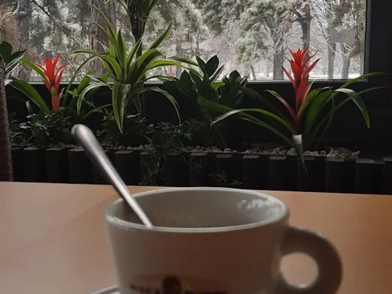 Fly Café Parc Crangași