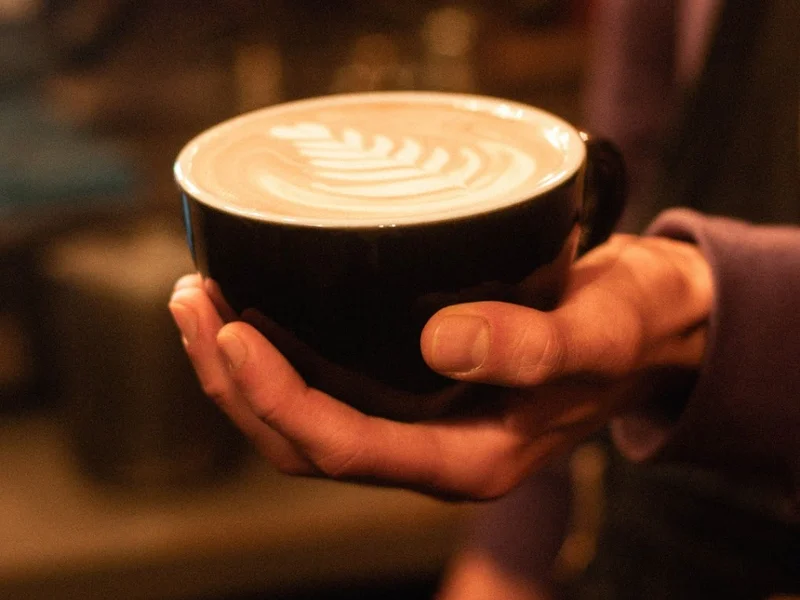 Street Coffee Roasters Timisoara (Alba)