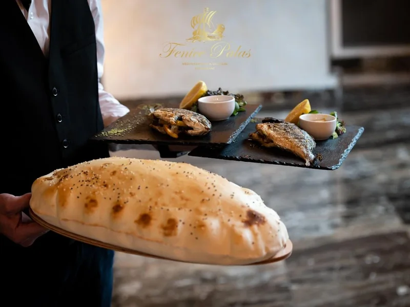 Fenice Palas Timisoara