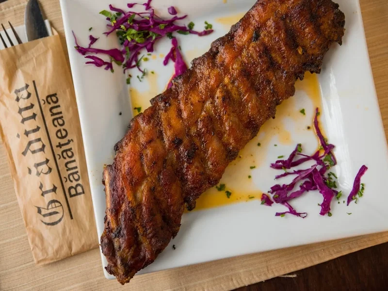 Grădina Bănaţeană