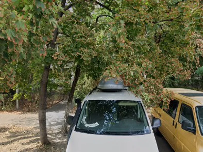 Libraria Bookador,Bucuresti