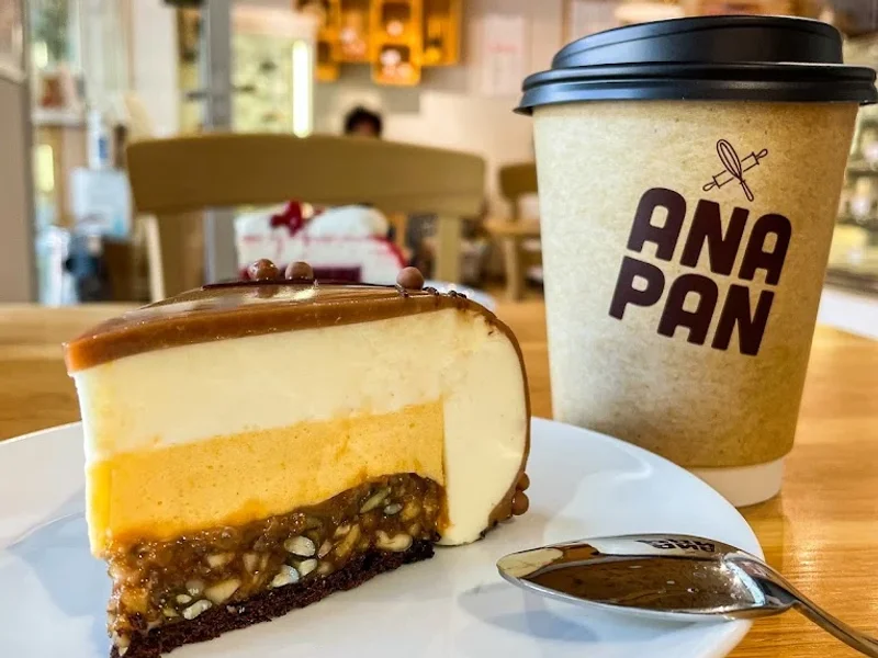 Ana Pan Militari