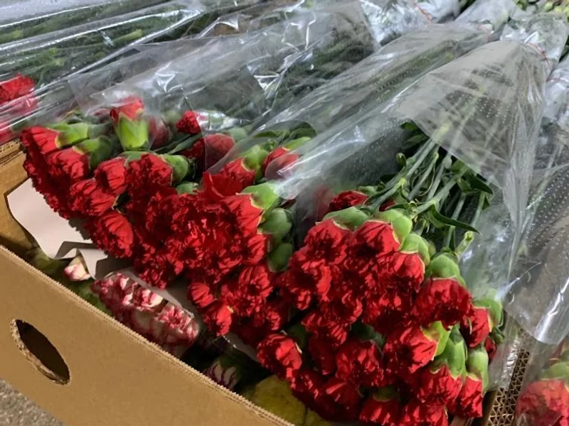 Turkuaz Flowers Bucureşti