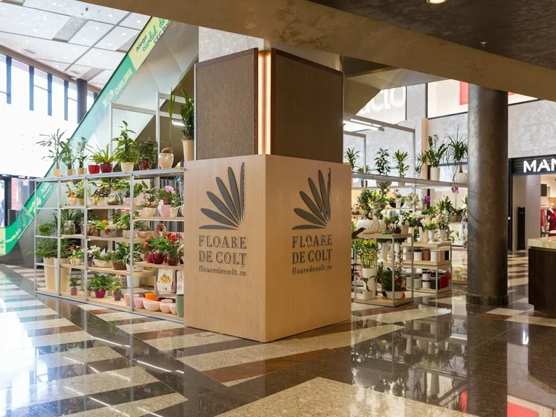 Florăria Floare de colț