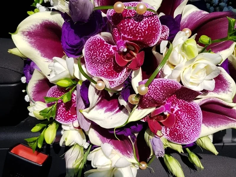 Floraria Golya Badea Cartan Livrari