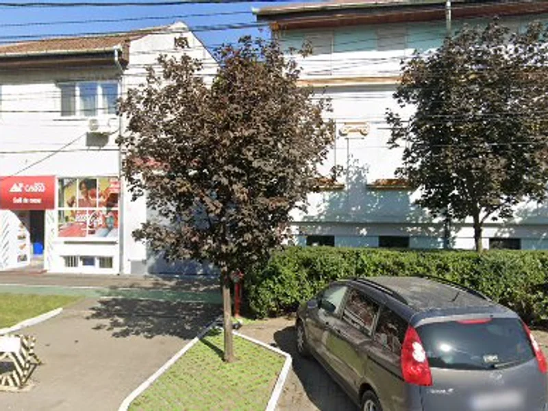 Haine Gravide Timisoara