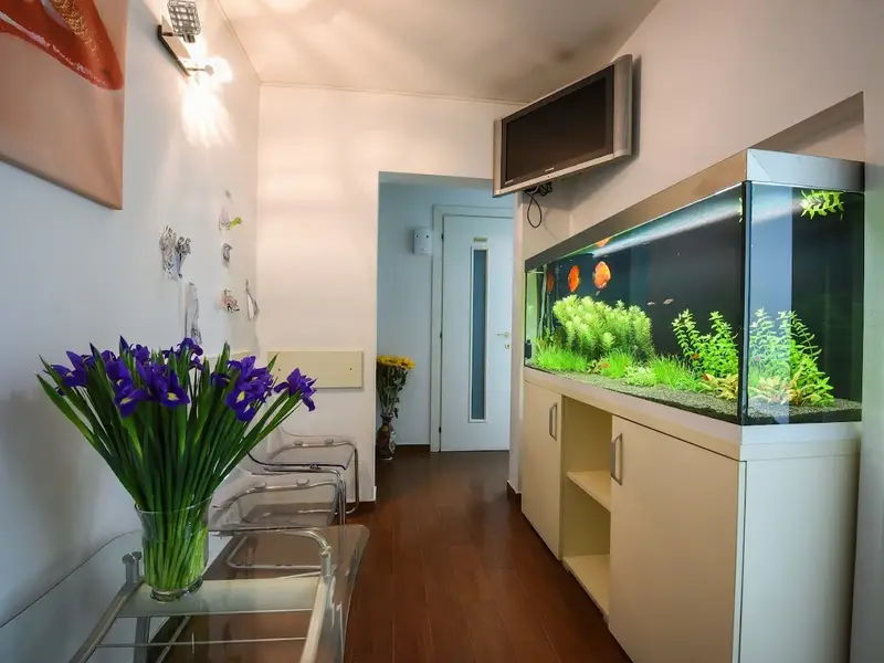 Cris Smile Studio Rahova - Clinica Stomatologica Sector 5 - Urgente Stomatologice