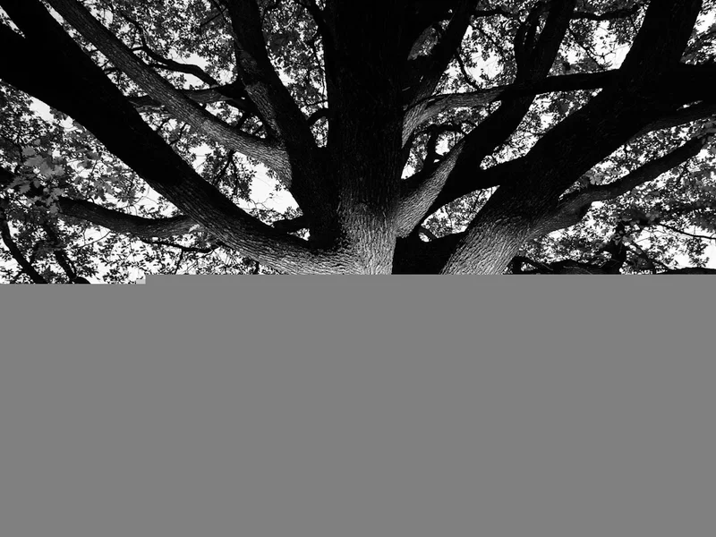 Fotograf Iasi - Alex Pascariu