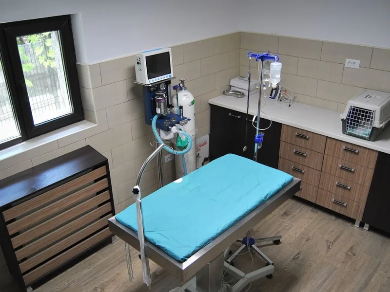 Cabinet veterinar Dr. Ludovic Bacusca