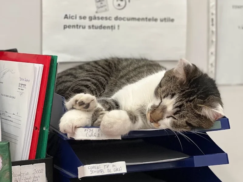 Spitalul Clinic Universitar pentru Animale de Companie USV IAȘI