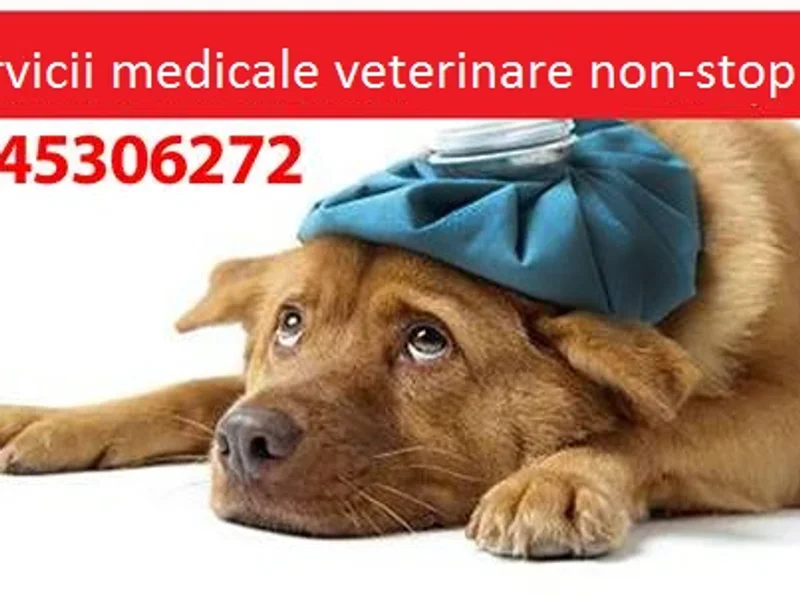 Urgente Veterinare Iasi