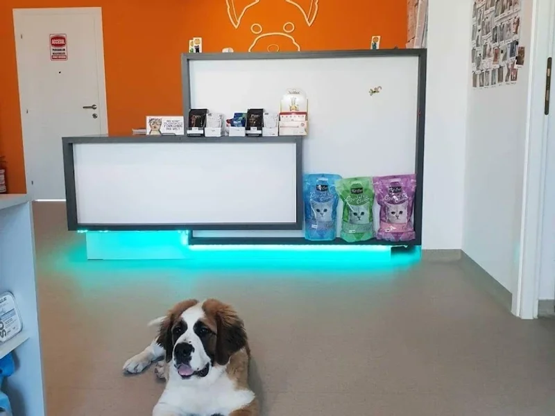 Cabinet Veterinar Dr Thomas Keller