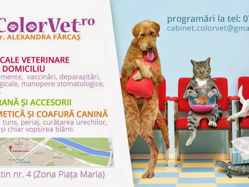 Cabinet veterinar ColorVet