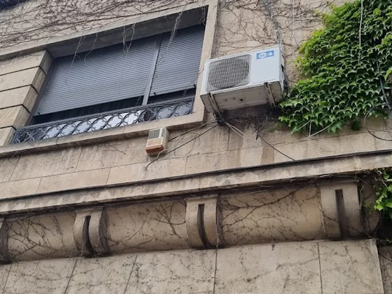 Mr. Peter Exclusive Tour Operator