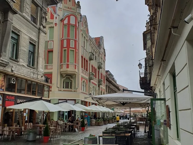 Agenția Robinson Crusoe