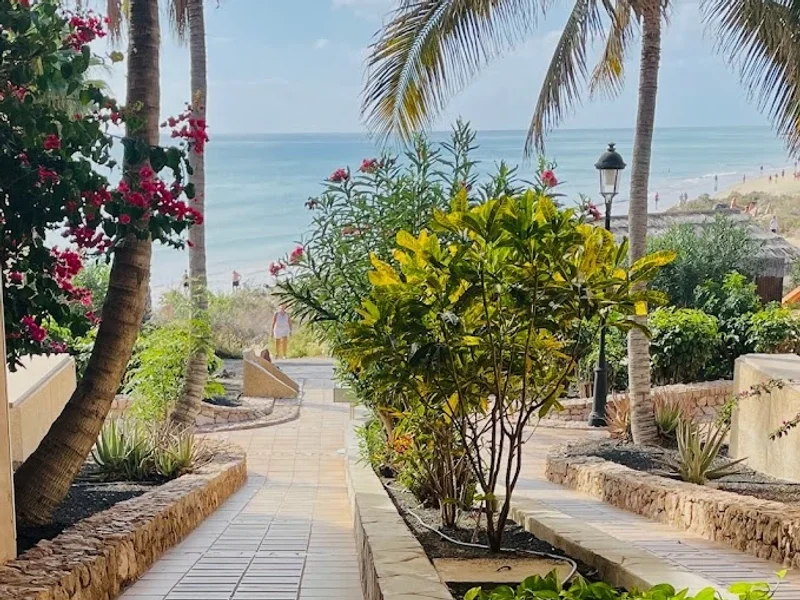 CĂLĂTOR SPRE FERICIRE