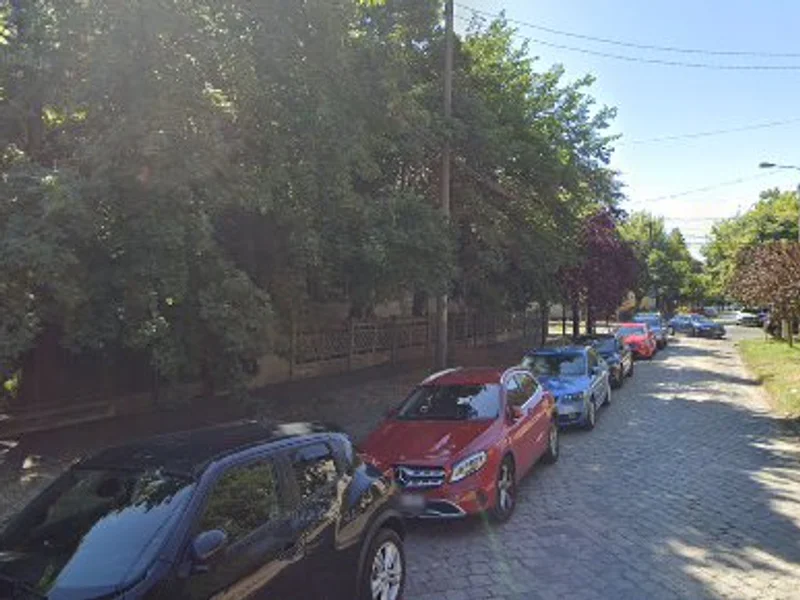 Doctor Dicu Elena Carmen