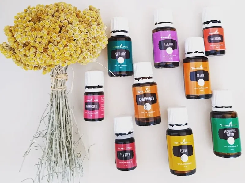 Majestic Massage Bucharest