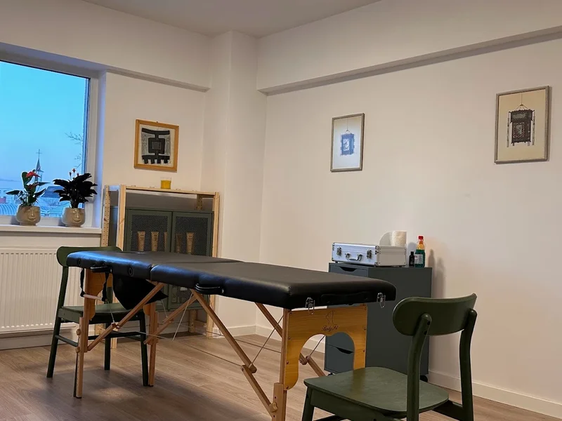 Serafim Ilcu - Masaj Terapeutic