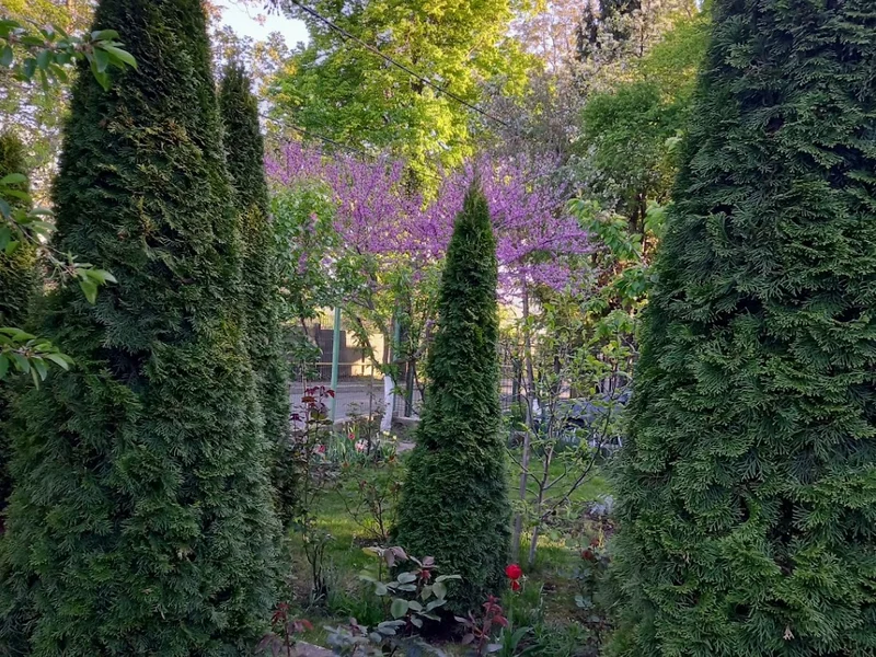 BODY RESET EXCLUSIV PENTRU FEMEI