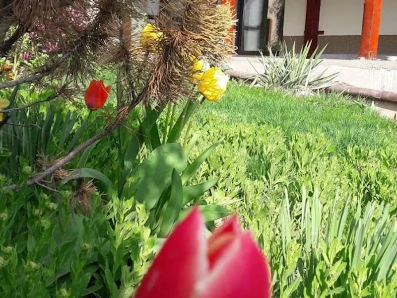 Laura Neamţu – Consiliere Dezvoltare Personala si Terapii complementare pentru femei si copii.