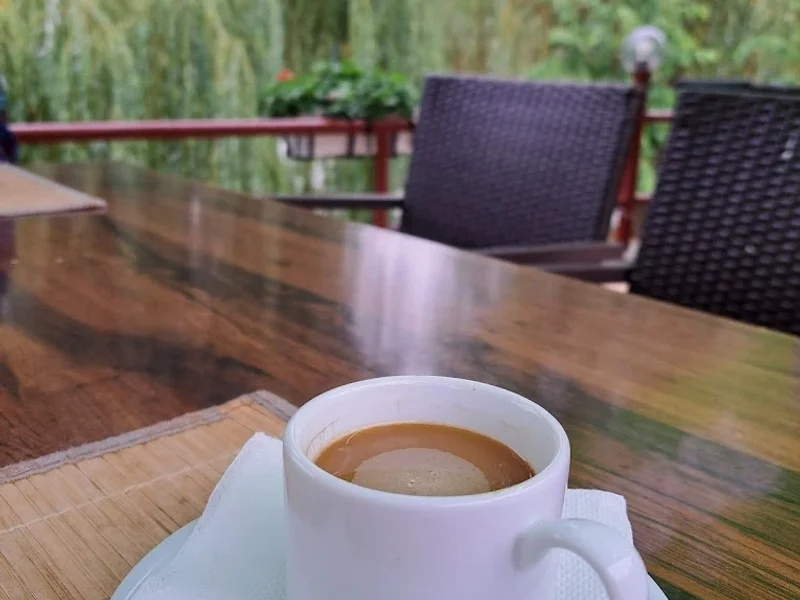 Hotel Ciric si restaurant Grand Salon