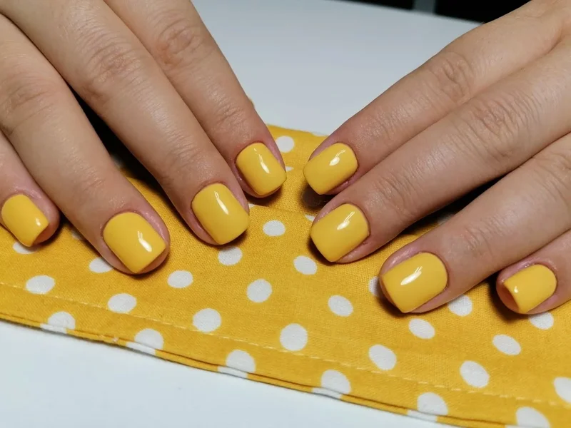 Special Guest Timpuri Noi