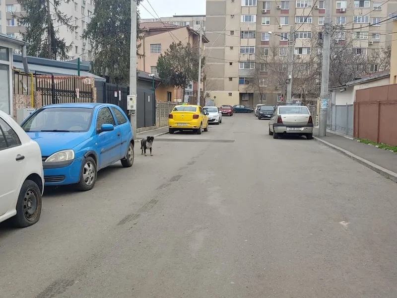 Liberty Creative Studio - Unghii cu gel Crangasi