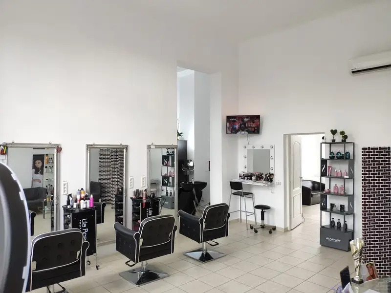 Salon MODERN style