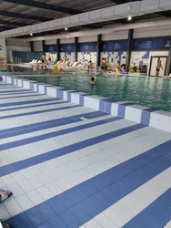 Liste 17 piscină din Timișoara