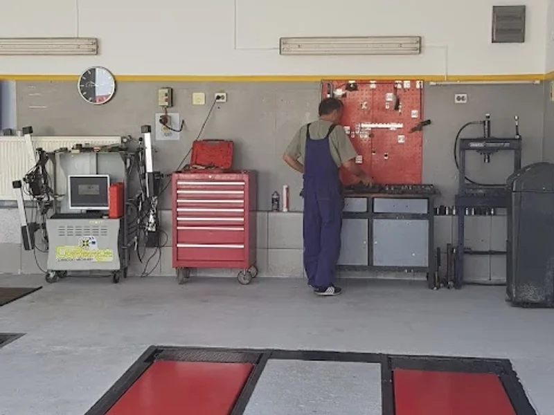 Hamio International Service Auto Rapid