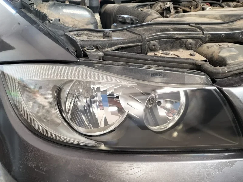 POLISH FARURI SECTOR 5 PROFESIONAL