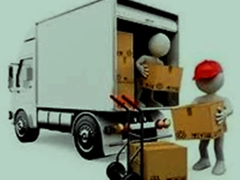 EXPERT MUTARI- Servicii de transport