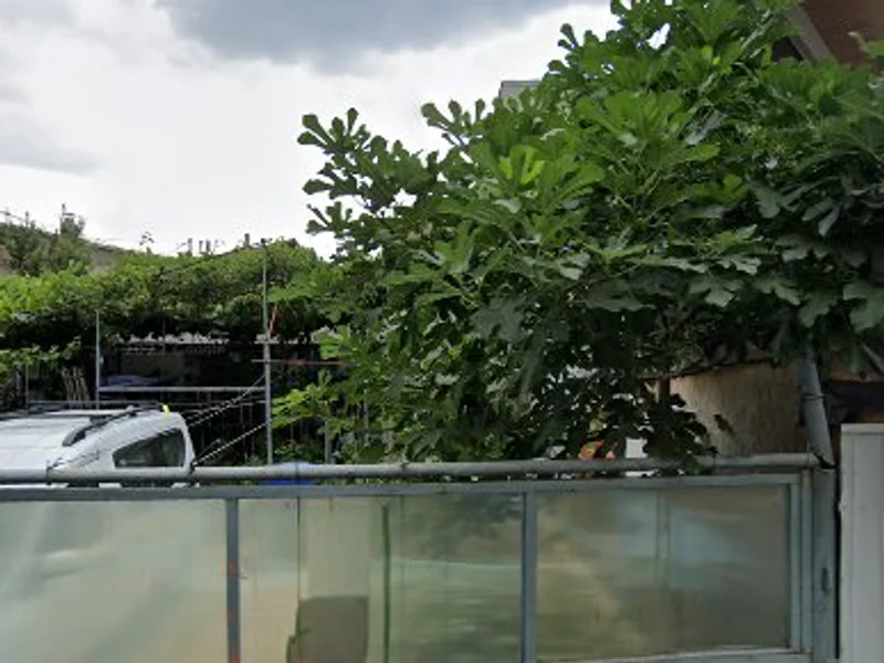 BETALEX - Mutari Mobila / Debarasari / Transport