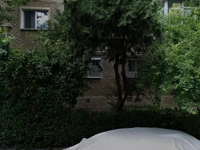 SC TRANSEXPERT ADN SPEED SRL