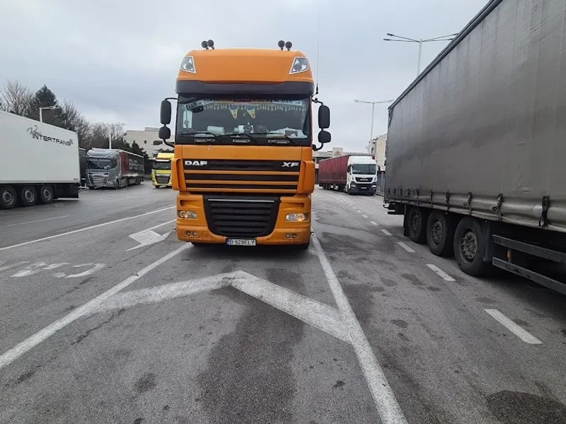 SC ELLY DAN TRANSPORT SRL