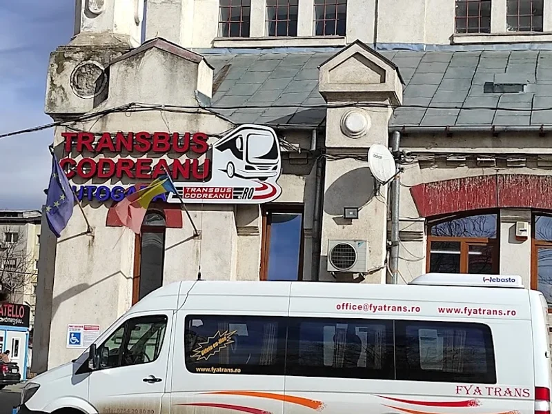 Transbus Codreanu.